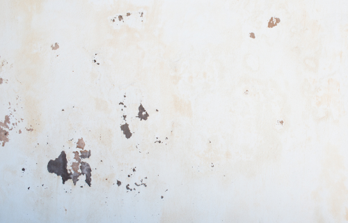 Traitement des Humidites